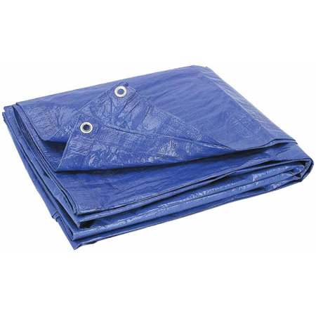 Blue Tarps 12'x16'
