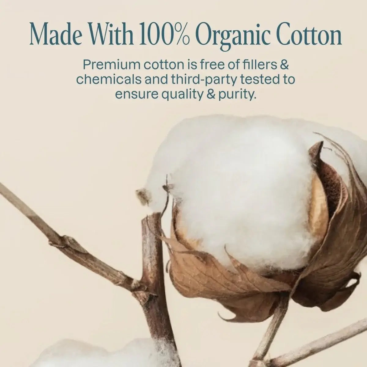 CLIGANIC organic jumbo cotton balls, 100 count