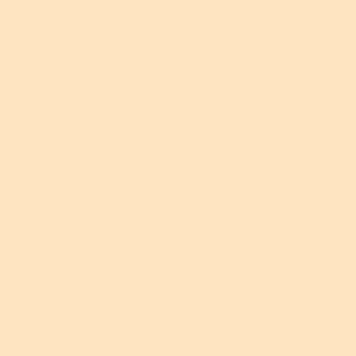 Con-Tact Lite Tack 10ftx12"