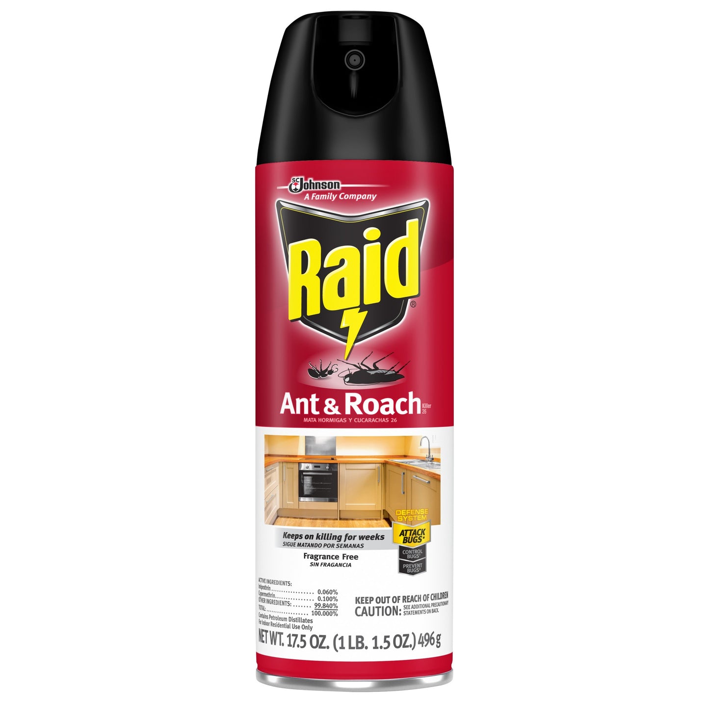 Raid Ant & Roach 17.5oz