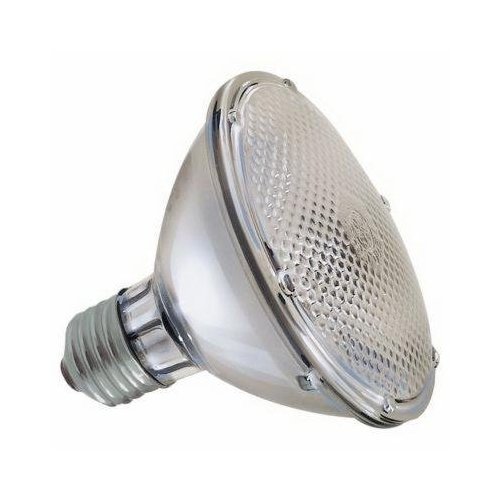 Par30 Halogen Bulb 75W Short