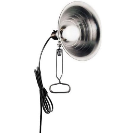 Clamp Light 8"Alum Shade