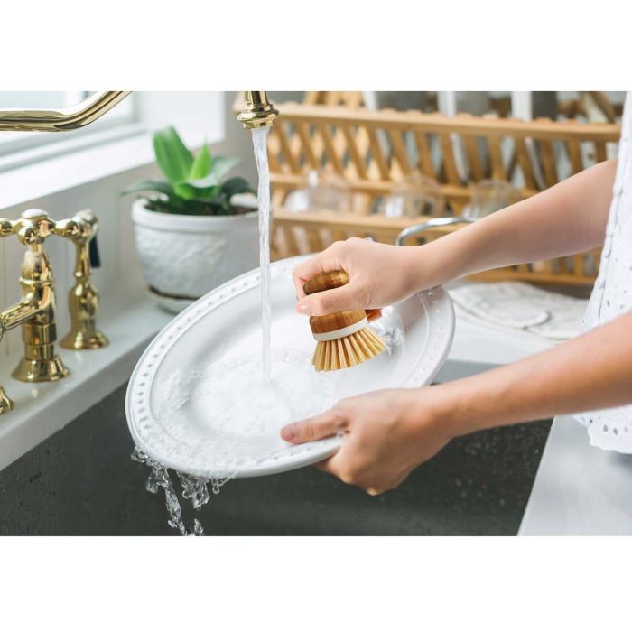 HIC Kitchen Bamboo Handle Dishwashing Vegetable Brush