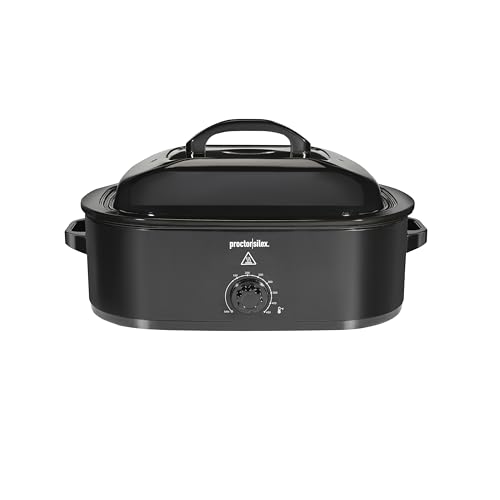 Proctor silex electric roaster