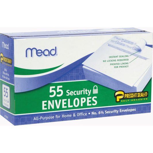 55 Security Envvlopes 3"x6"