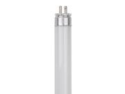 T5 4 feet skinny bulb