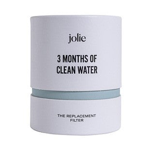 3 months shower filter