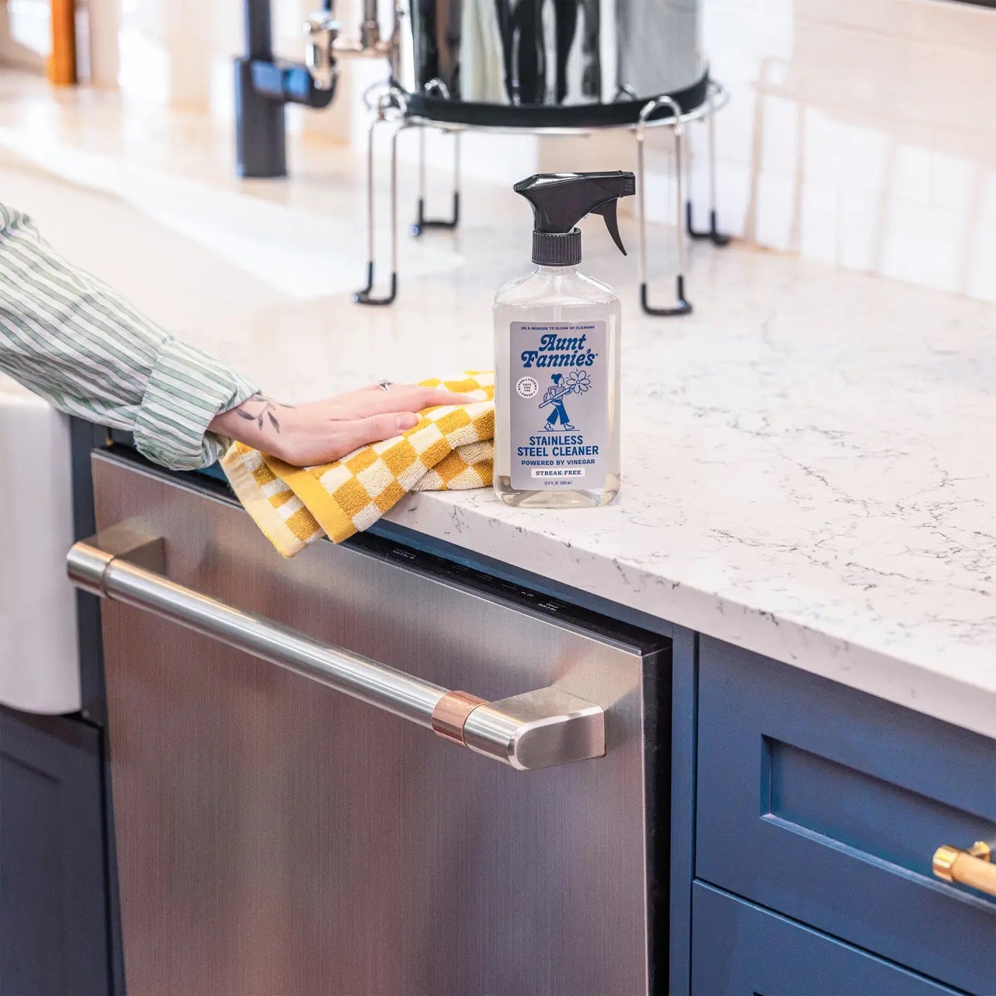 AUNT FANNIES stainless steel cleaner