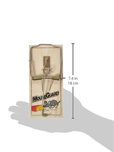 Rat Trap Wood Tr1