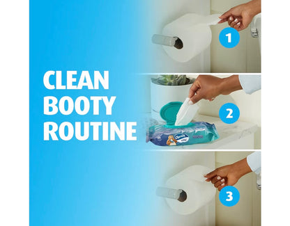 Charmin Flushable Wipes, 2 packs, 40 Wipes Per Pack, 80 Total Wipes