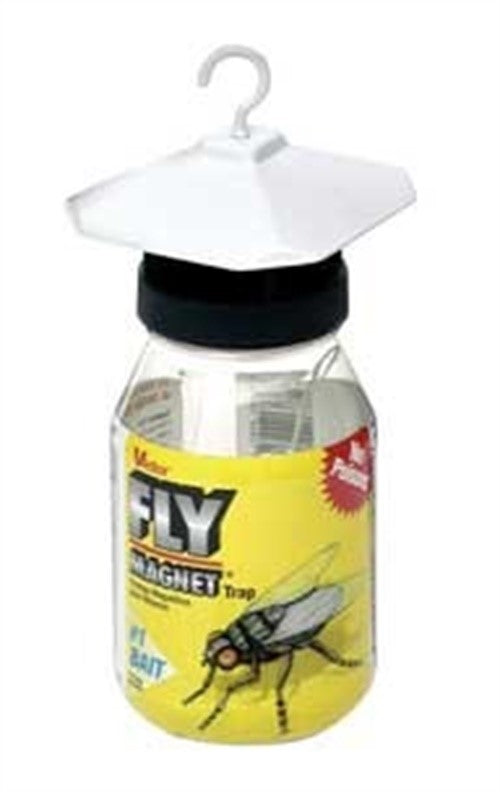 FLY TRAP-W/BAIT - QT SI