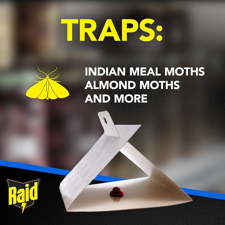 Raid Pantry Moth Traps for Food Storage Areas, 2 Pack, Indoor Sticky Fly Trap with Bait, No Insecticides, Controls Common Pantry Moths, Up to 6 Months Use, Open, Peel, Fold and Place