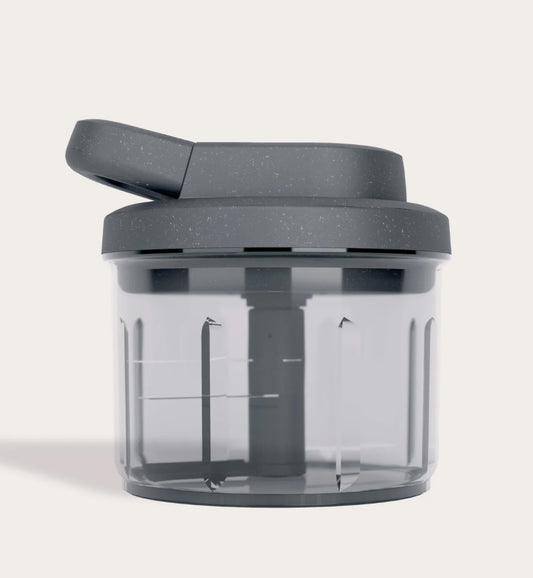 Zylizz easy pool food processor ￼