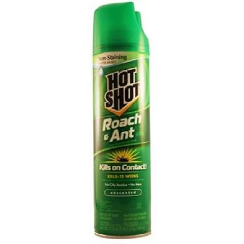 Hot Shot Ant&Roach 17.5oz