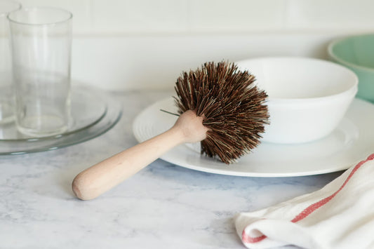NATURAL DISH BRUSH BASSINE