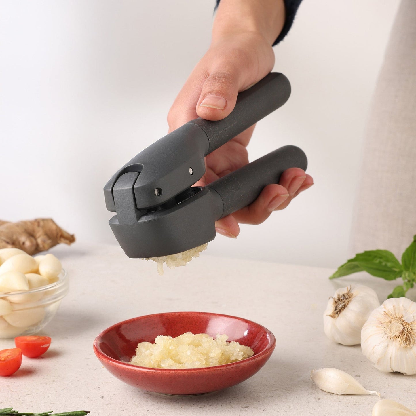 Zyliss  classic garlic press