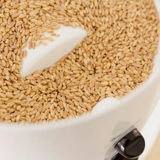 NutriMill Classic High Speed Electric Grain Mill
