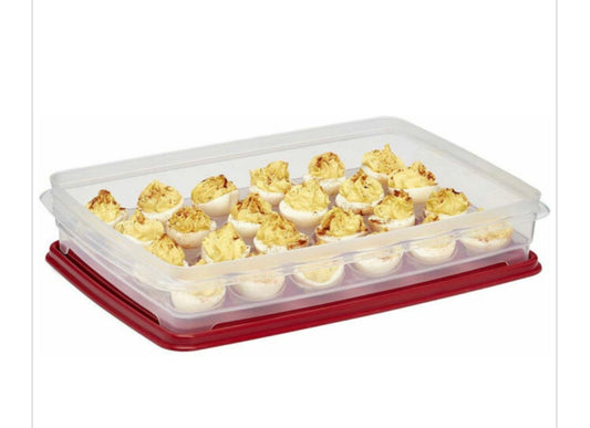 BUDDEEZ -EGG Keeper With Cover Holds 24