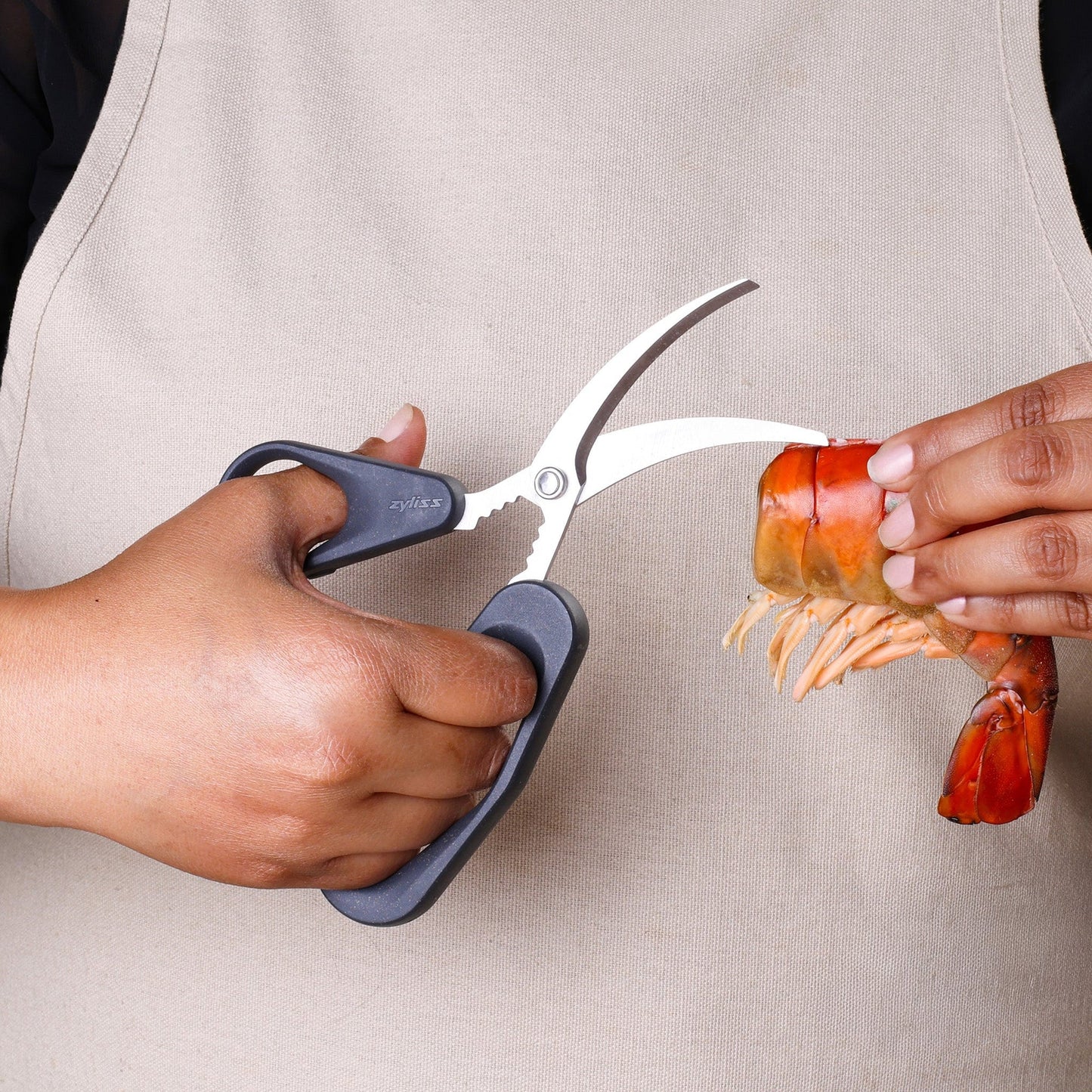 zyliss seafood scissors