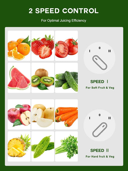 Dominion Juicer Machine, 600W Juicer with 3” Wide Mouth for Whole Fruits and Vegetables, Centrifugal Juice Extractor, Easy to Clean, Stainless Steel, BPA Free