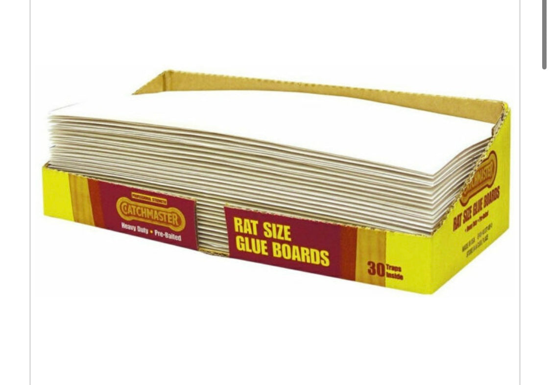 CATCHMASTER-GLUE BOARD-RAT