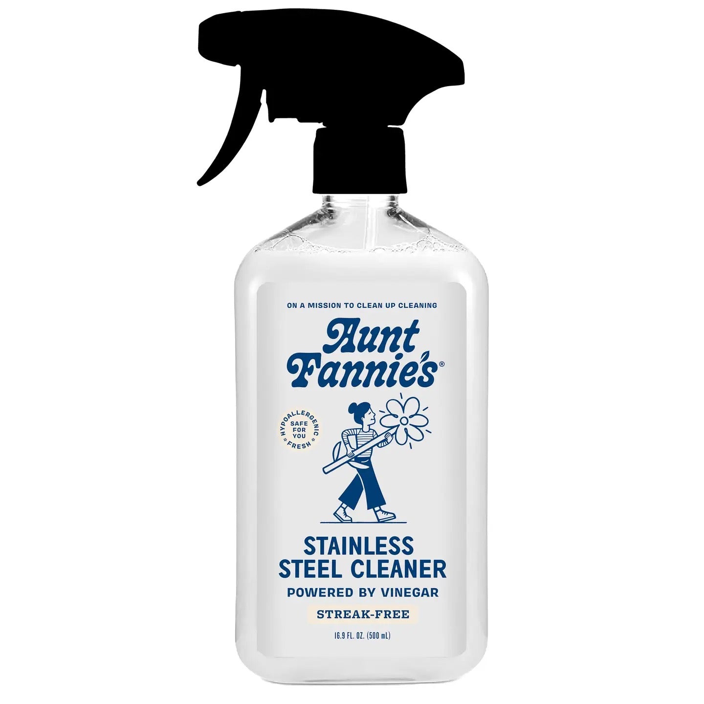 AUNT FANNIES stainless steel cleaner