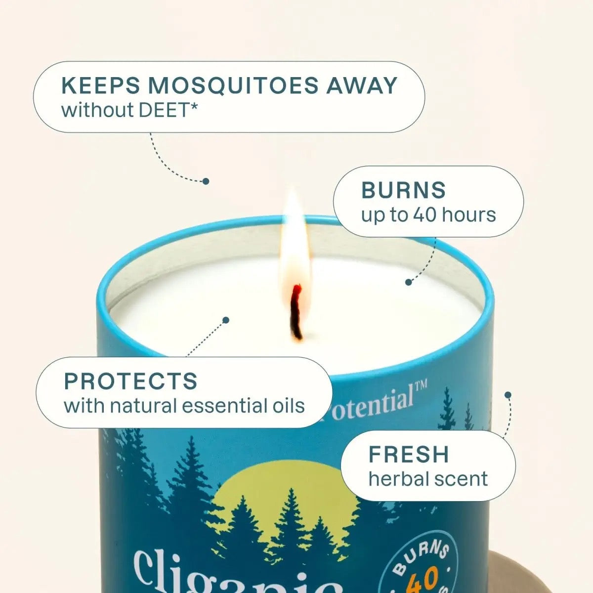 Cliganic Natural Mosquito Repellent Candle (Large 22oz)