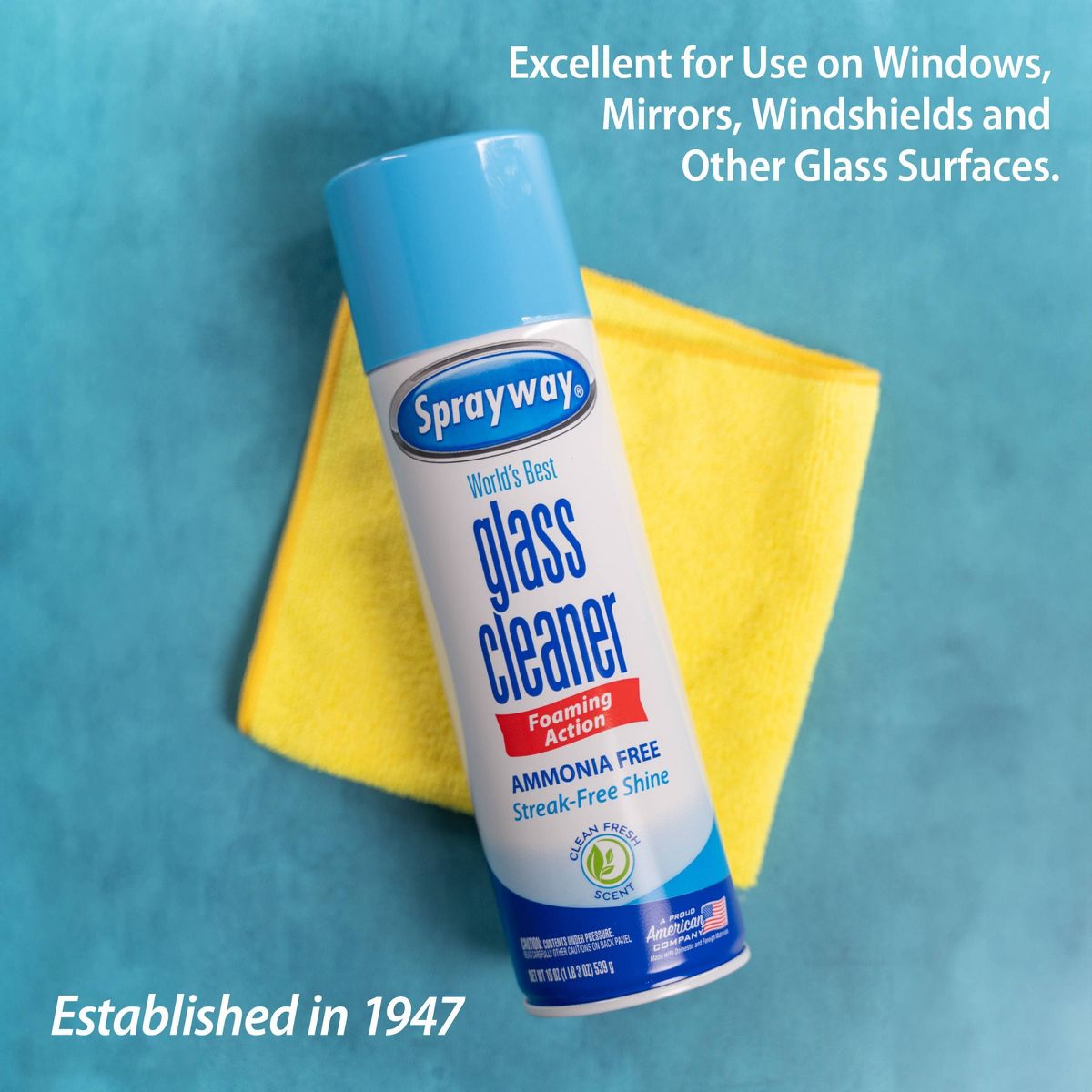 Sprayway Glass Cleaner Foaming Aerosol Spray, 19oz