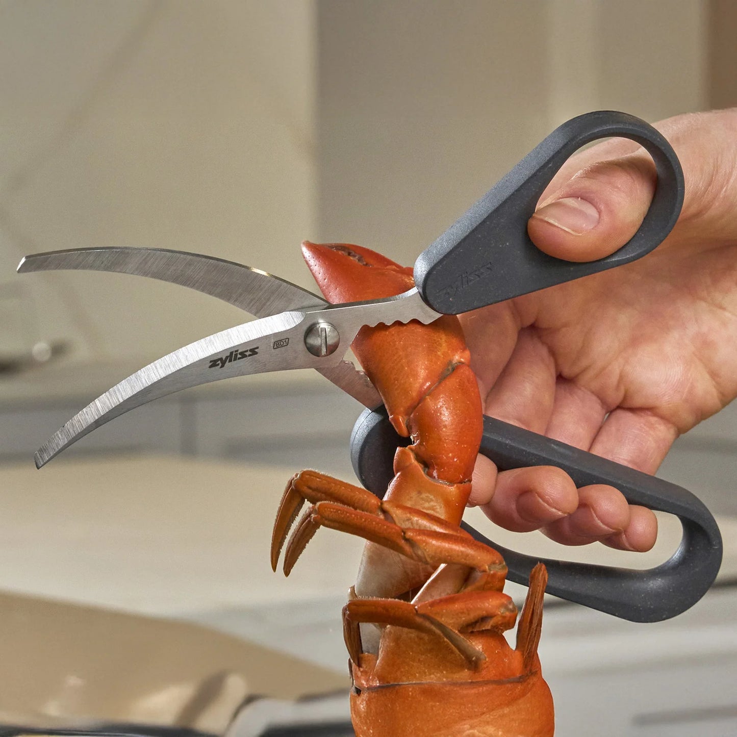 zyliss seafood scissors