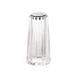 Salt and pepper shaker clear